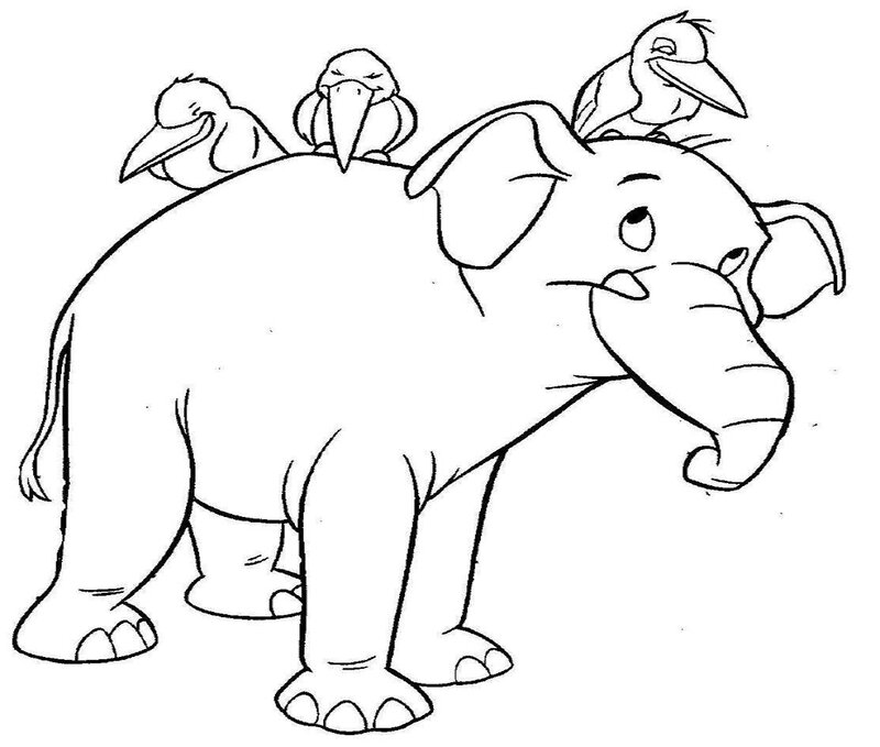 Elephant with Birds