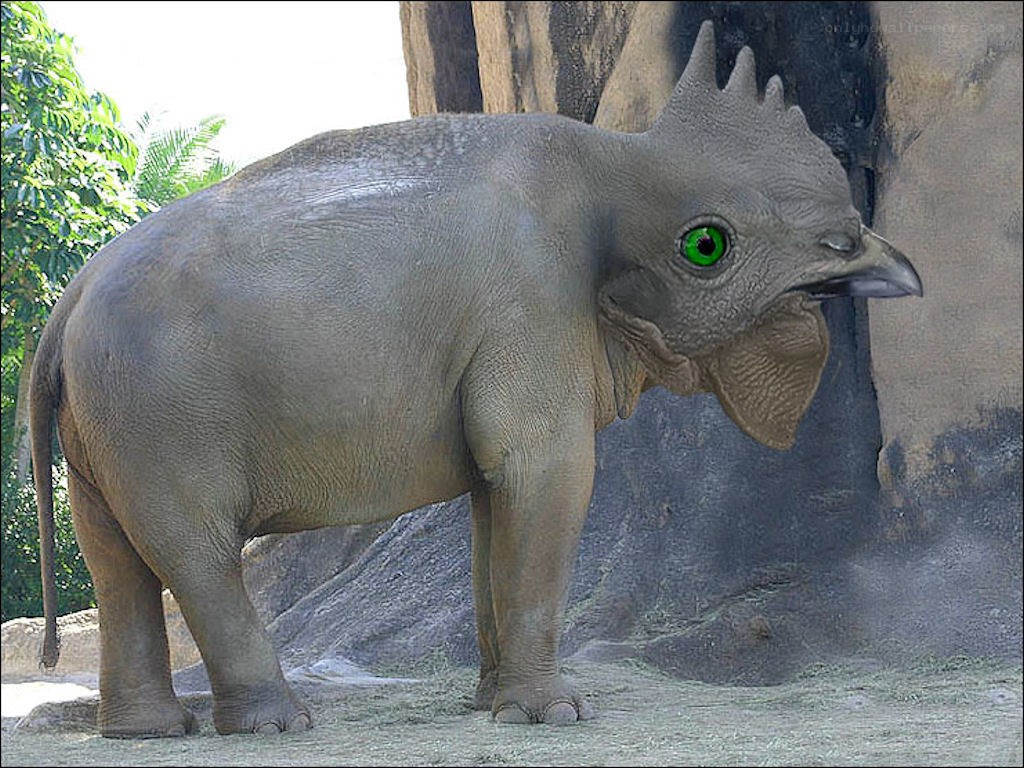 elephant with chicken head