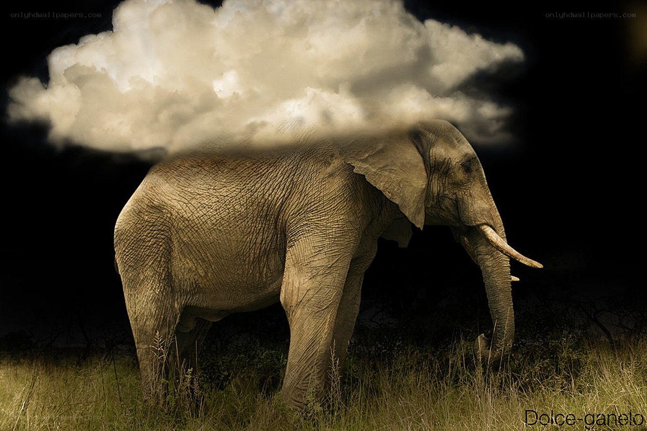 Elephant with cloud above