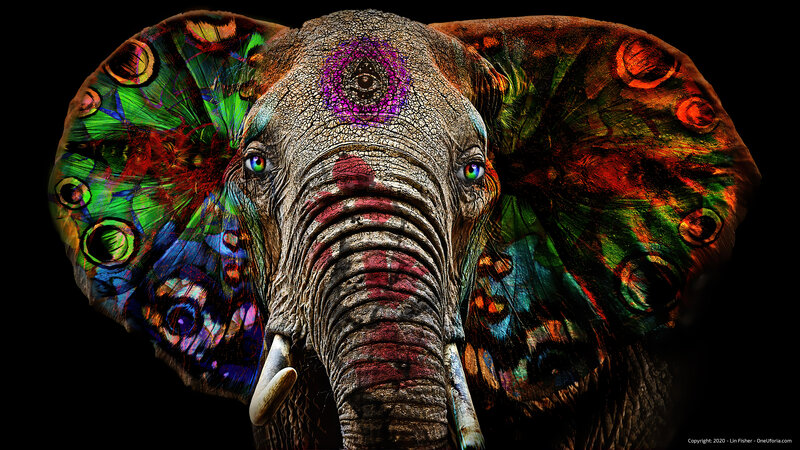 Elephant with Colorful Patterns