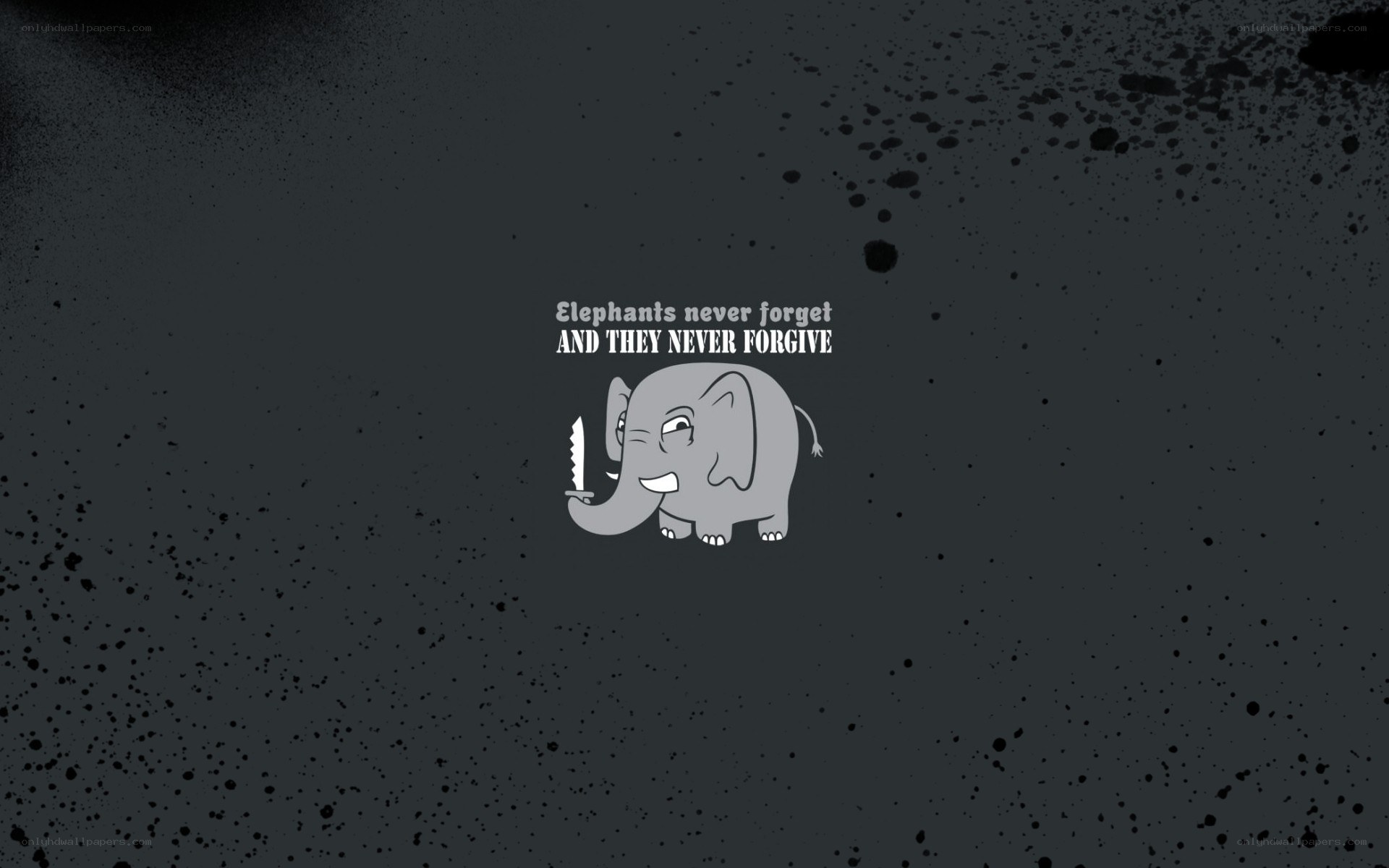 Elephant with knife and quote