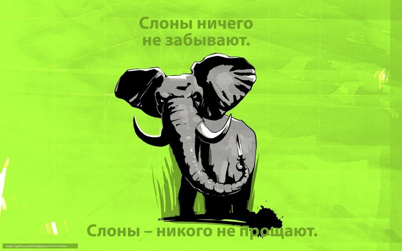 Elephant with knife quote