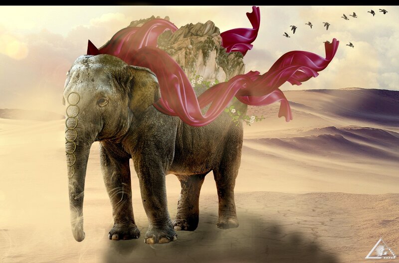 Elephant with Mountain Back