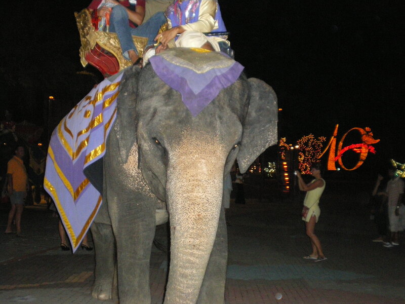 Elephant with Riders