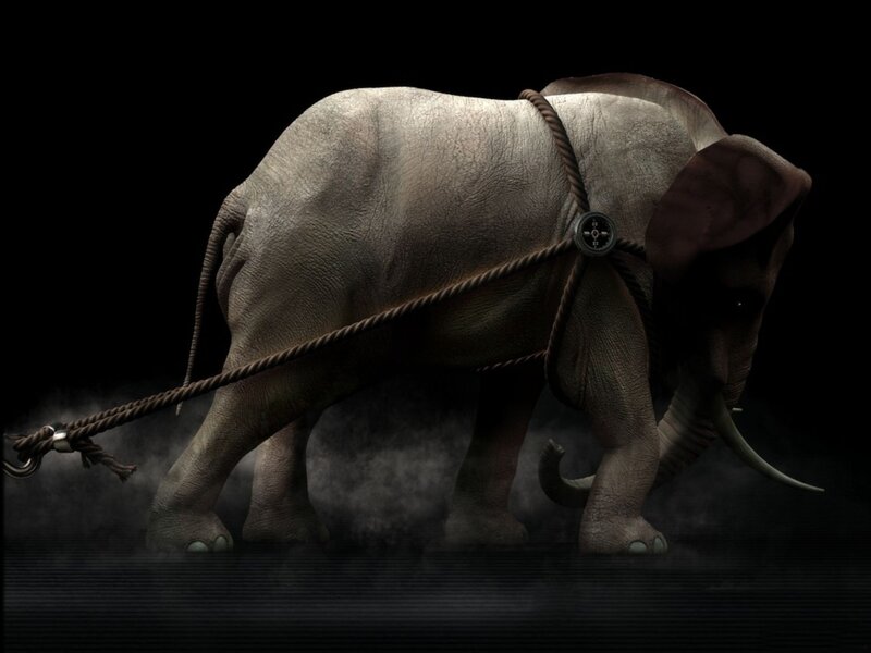 Elephant with Rope Harness — Gray