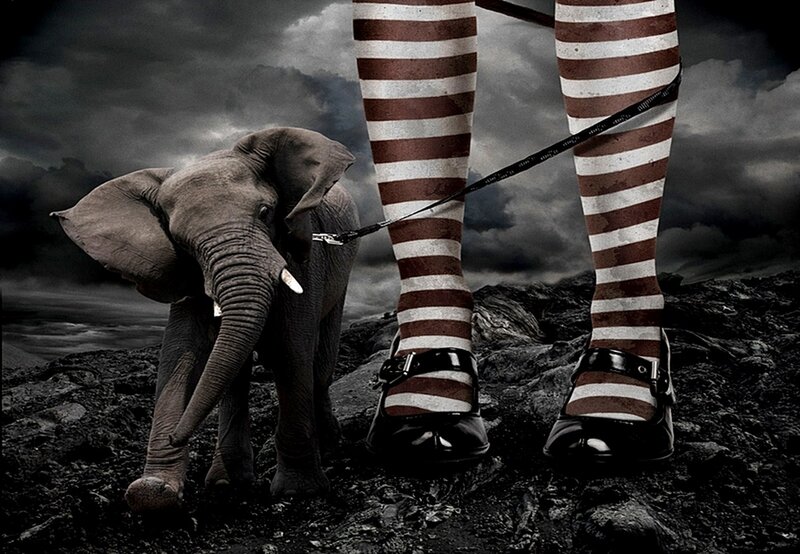 Elephant with Striped Legs