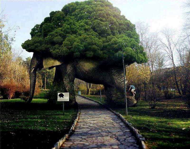 Elephant with Tree on Back
