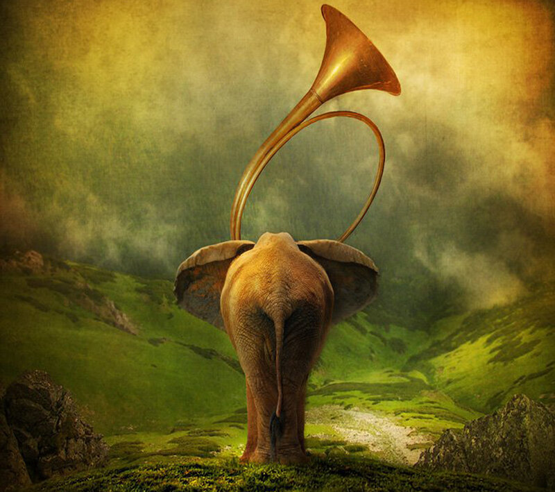 Elephant with Trumpet