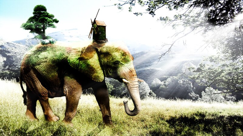 Elephant with Windmill
