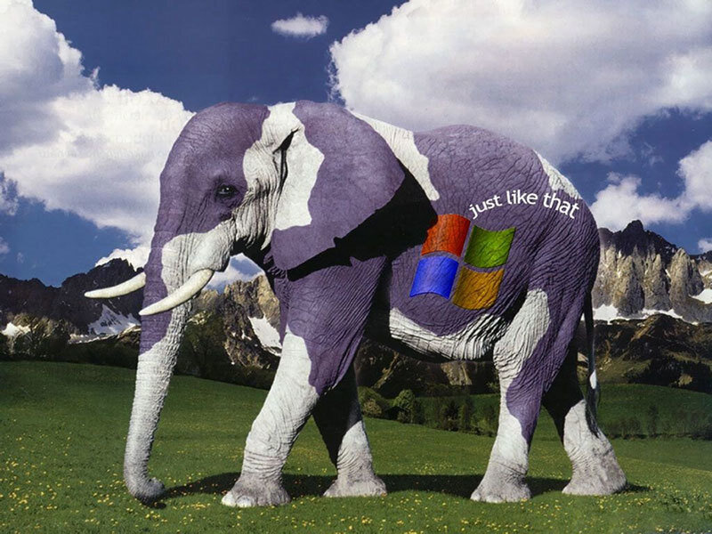 elephant with windows logo