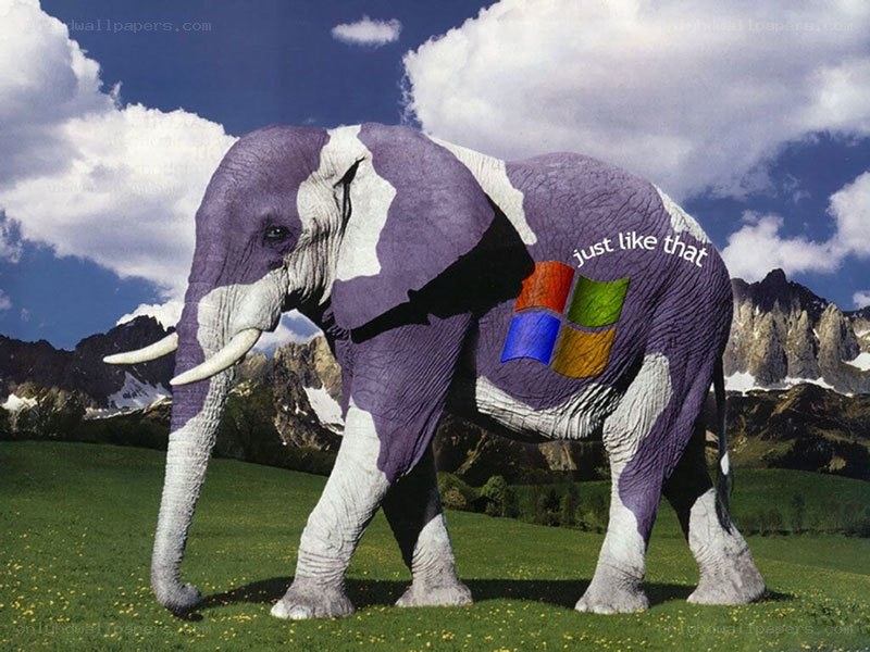 elephant with windows logo