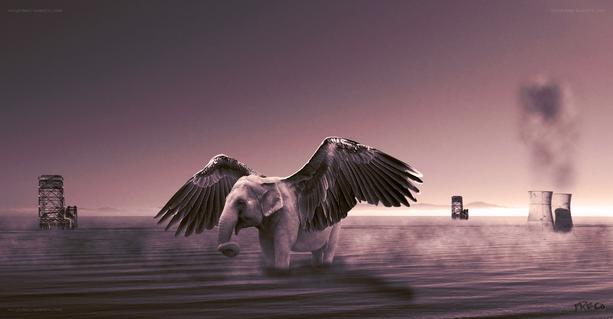 elephant with wings in water