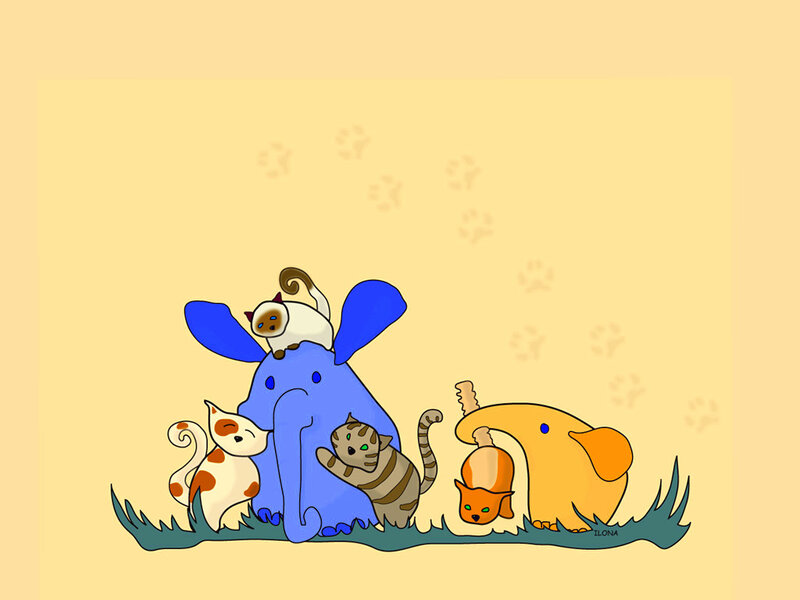 Elephants and Cats
