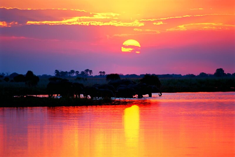 Elephants at sunset in a river