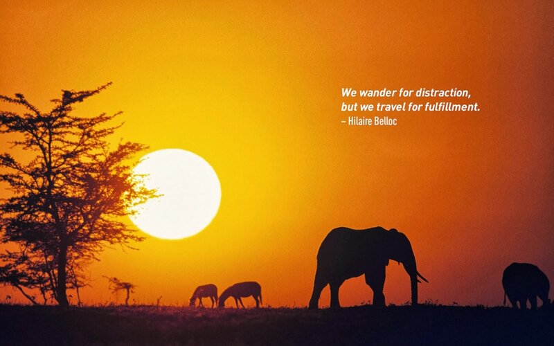 Elephants at Sunset — Orange