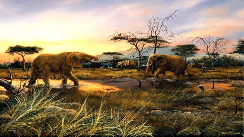 Elephants at Watering Hole