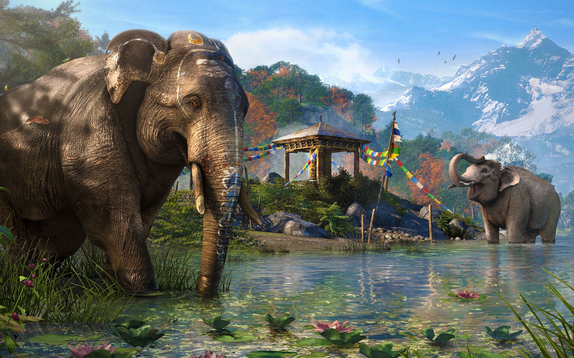 Elephants in a mountain pond