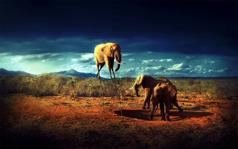 Elephants in a surreal landscape