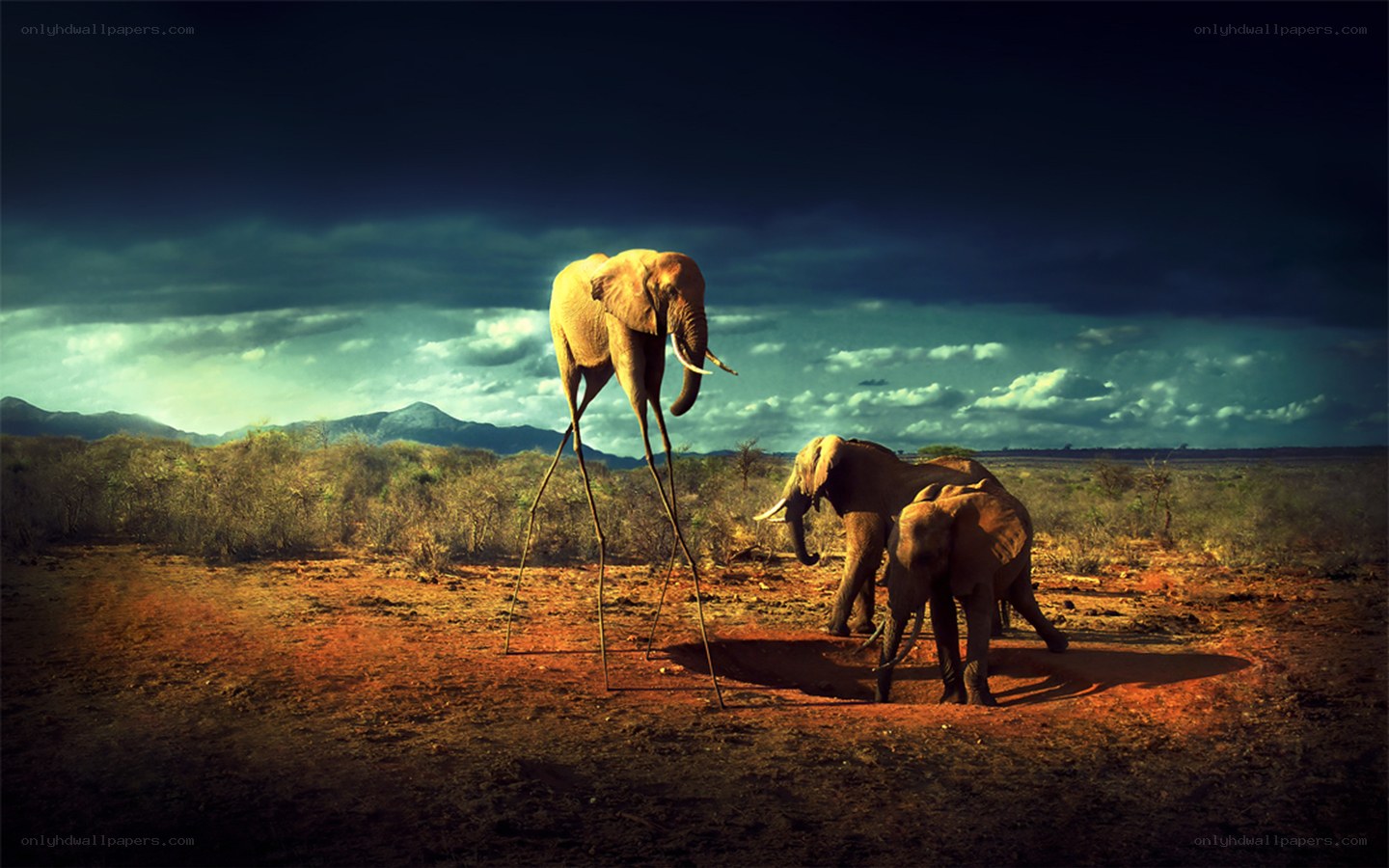 Elephants in a surreal landscape