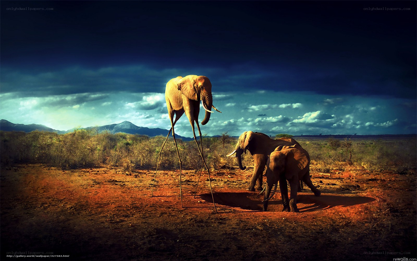 Elephants in a surreal landscape