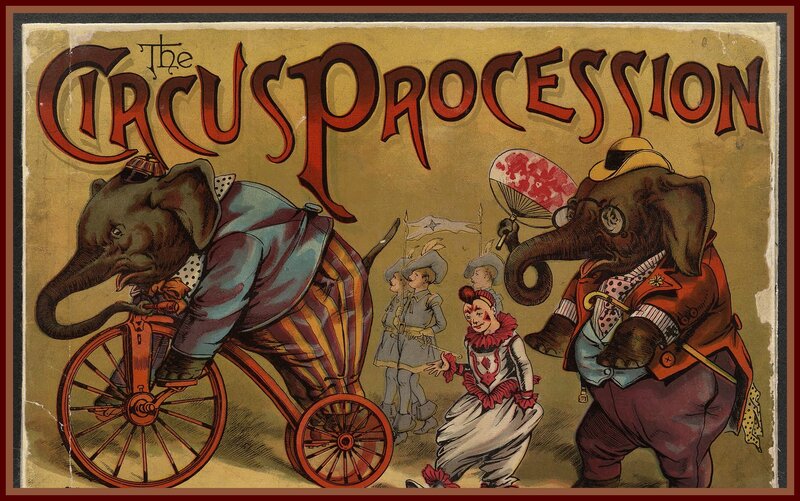 Elephants in Circus Parade