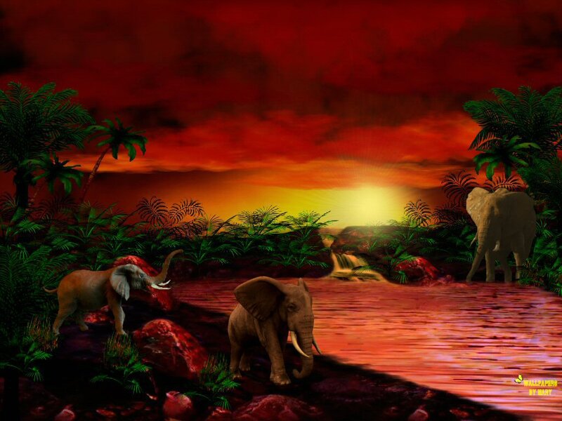 Elephants in Jungle