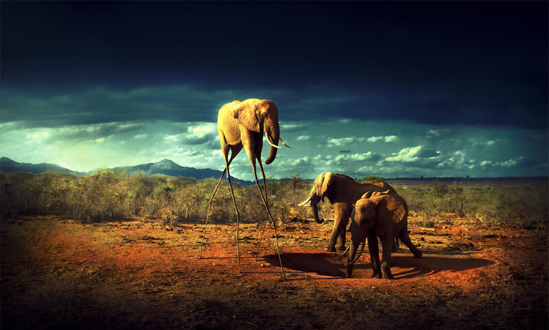 Elephants in surreal landscape