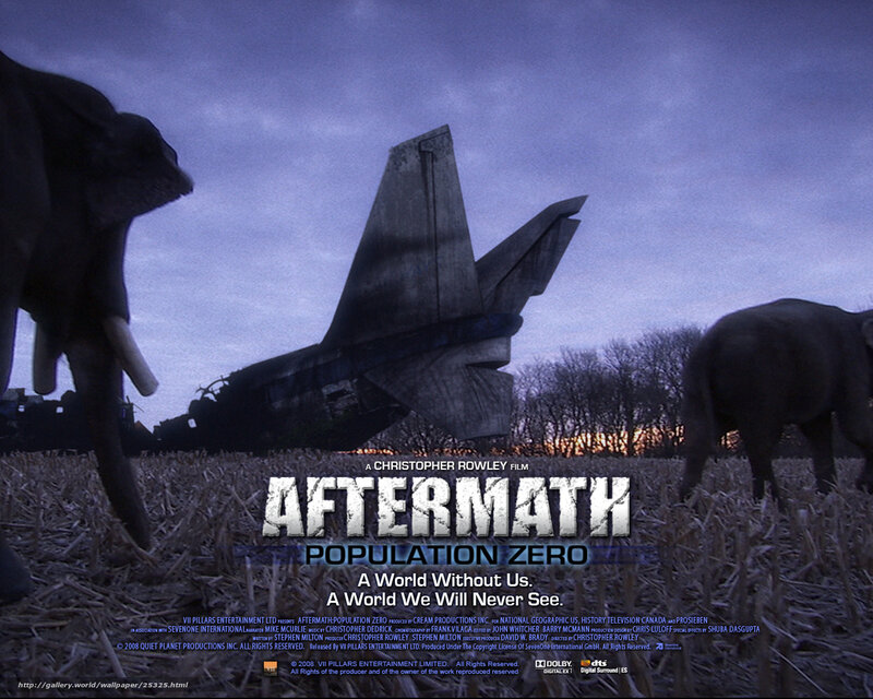 Elephants Near Crashed Plane
