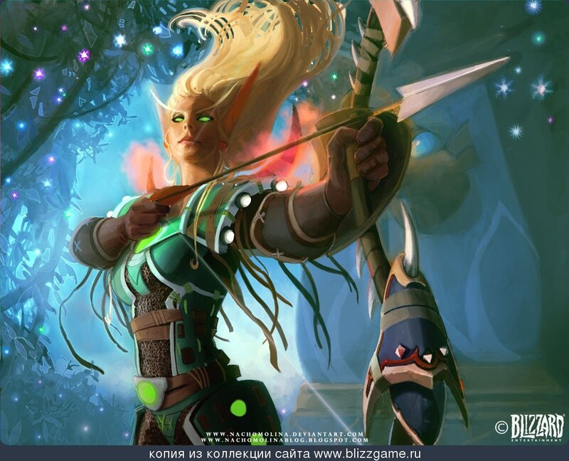 elf archer in forest
