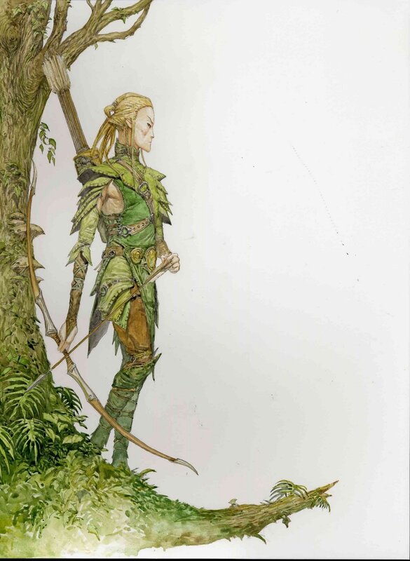 elf archer in forest
