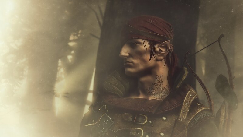 Elf Archer in Forest — Brown, Dramatic, Morning