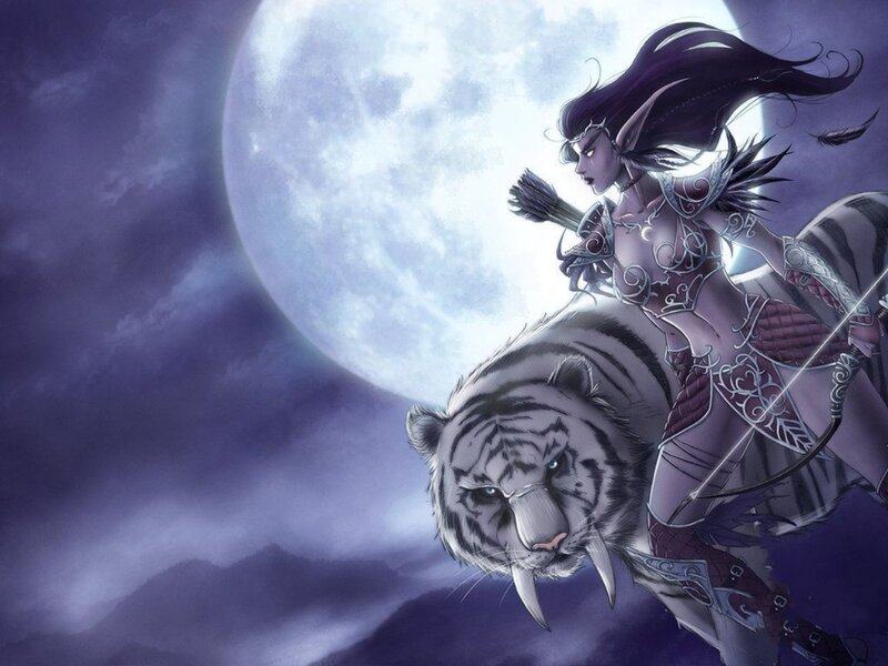 Elf Archer on Tiger