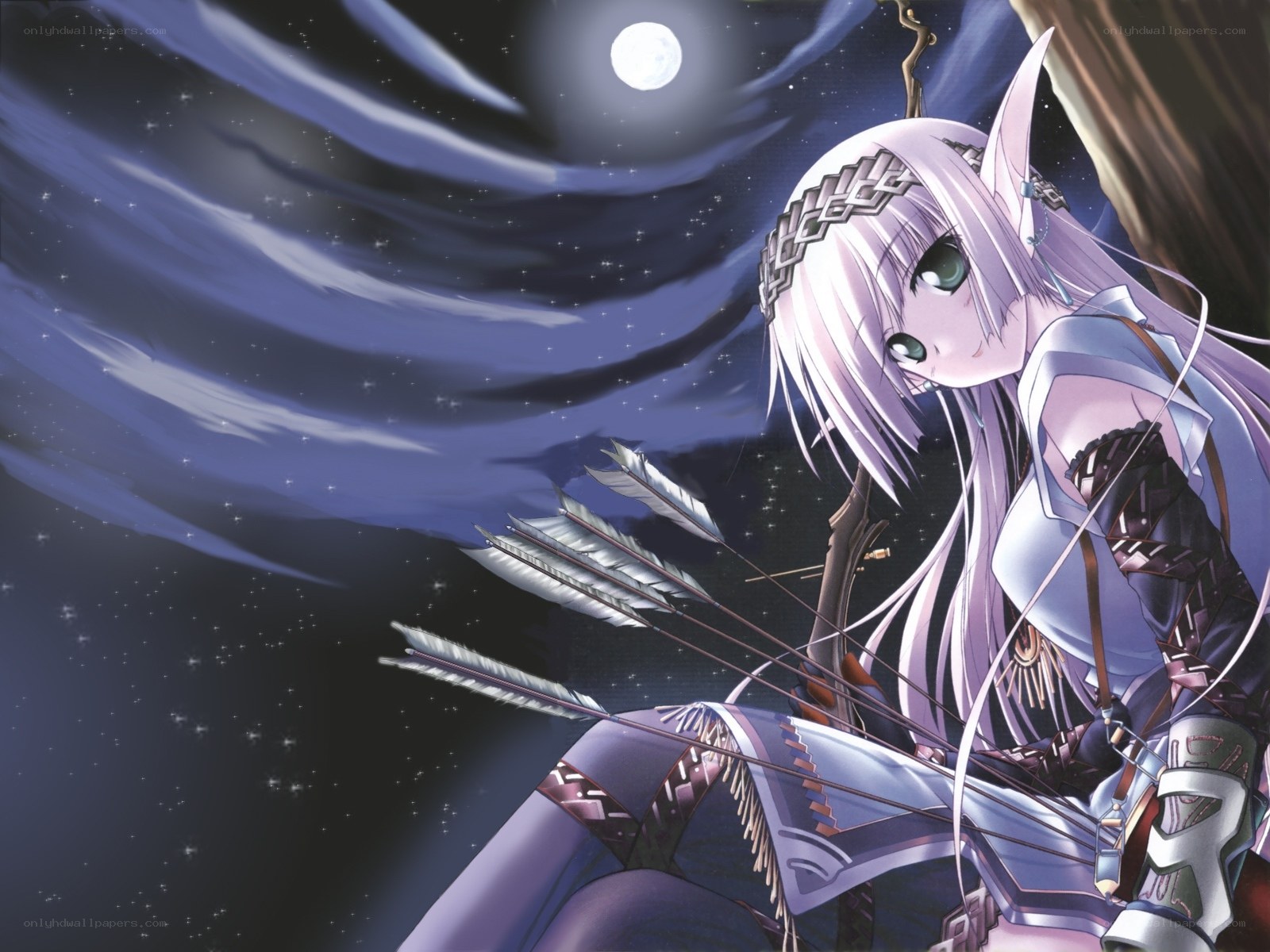 elf archer under the moon