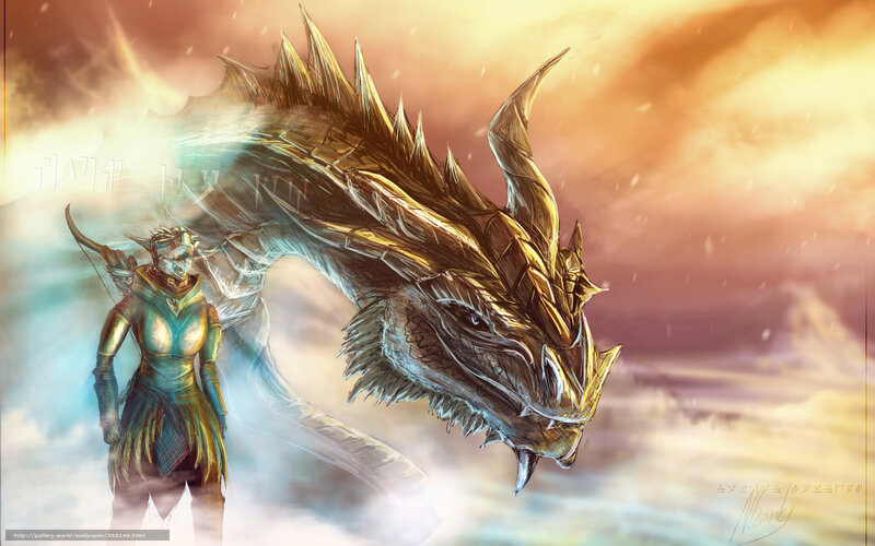 elf archer with dragon