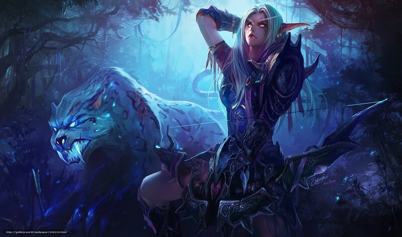 elf archer with wolf companion