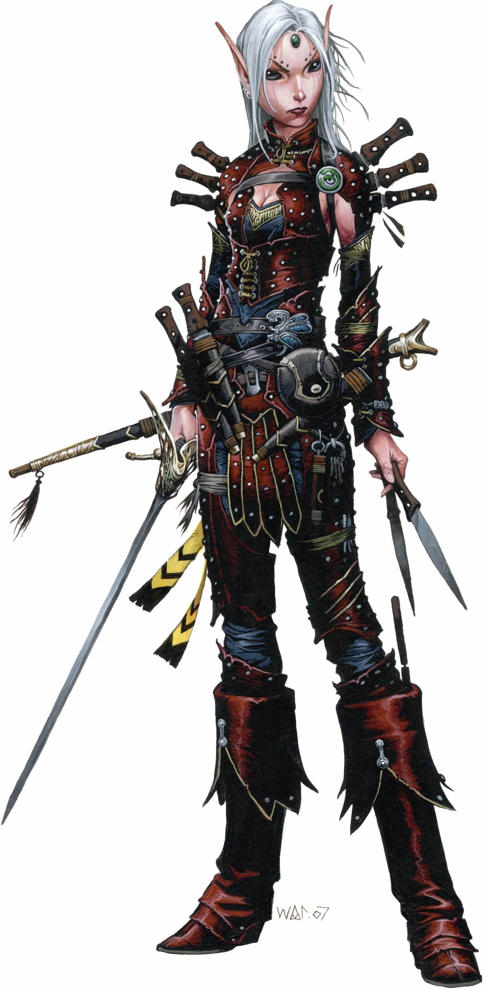 elf assassin character design