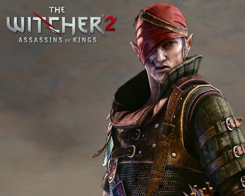 Elf Assassin Character