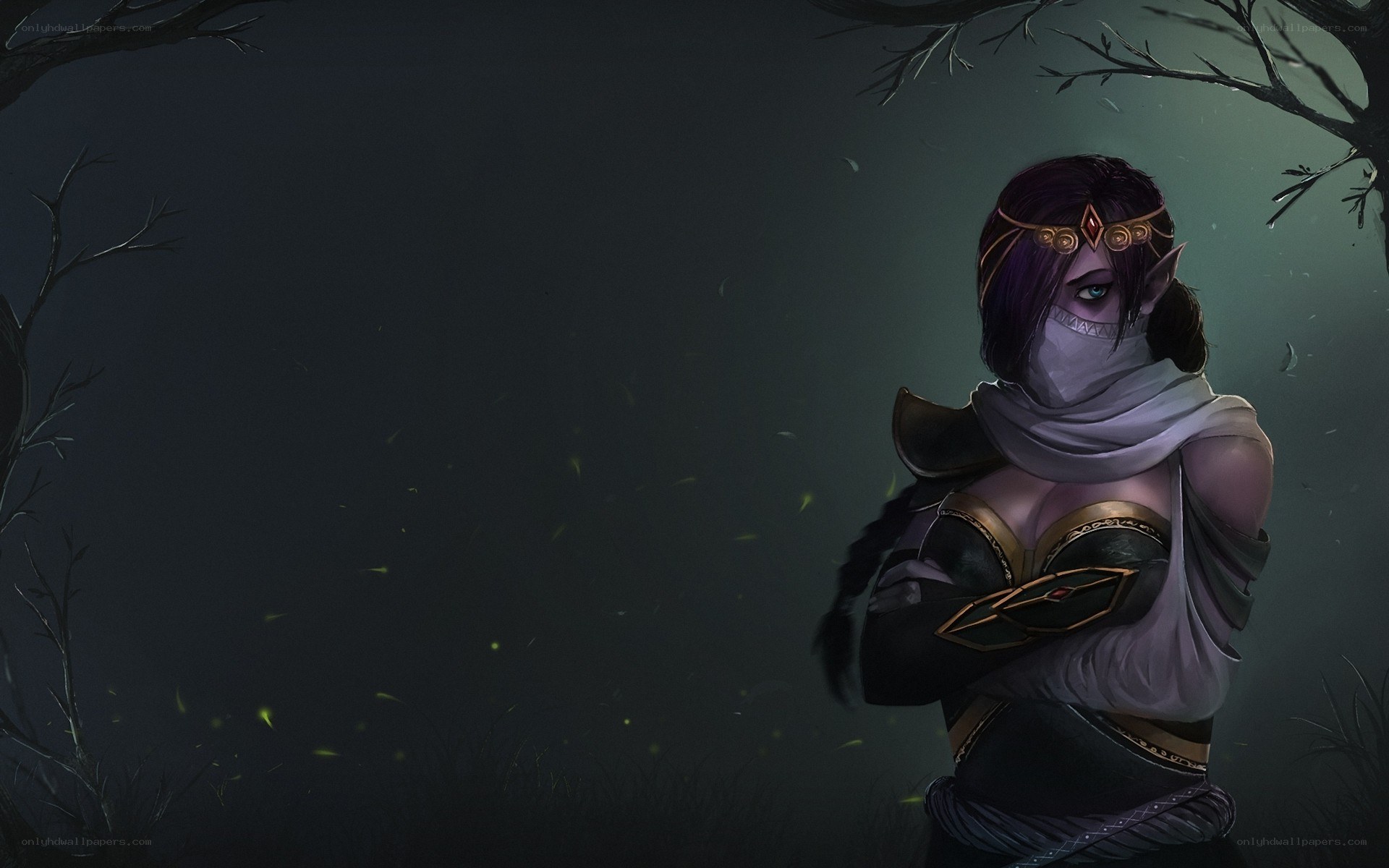 elf assassin in dark forest