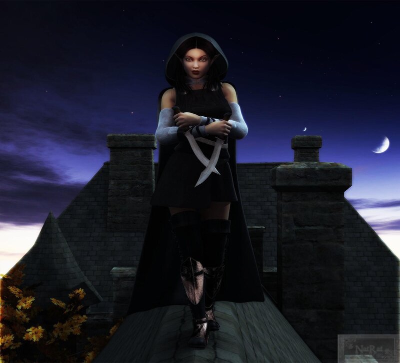 elf assassin on a rooftop
