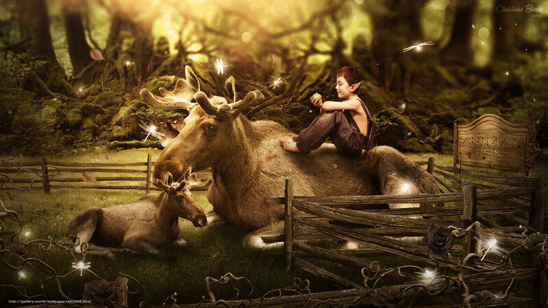elf boy with moose in forest