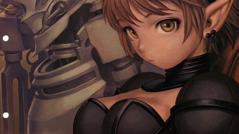 elf character in armor