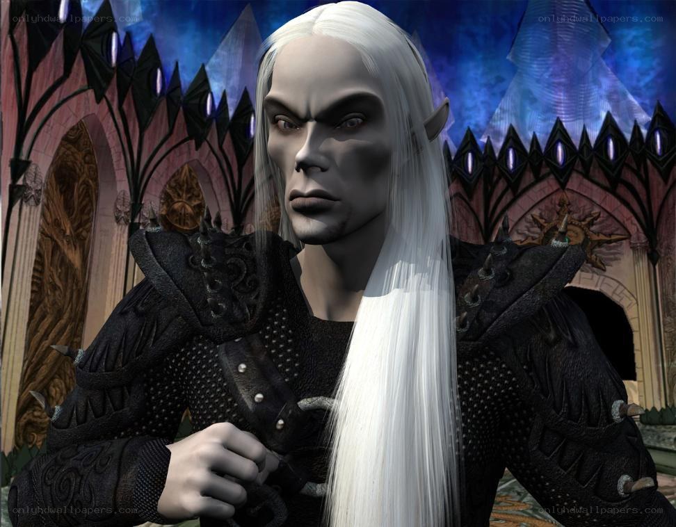 elf character in dark armor