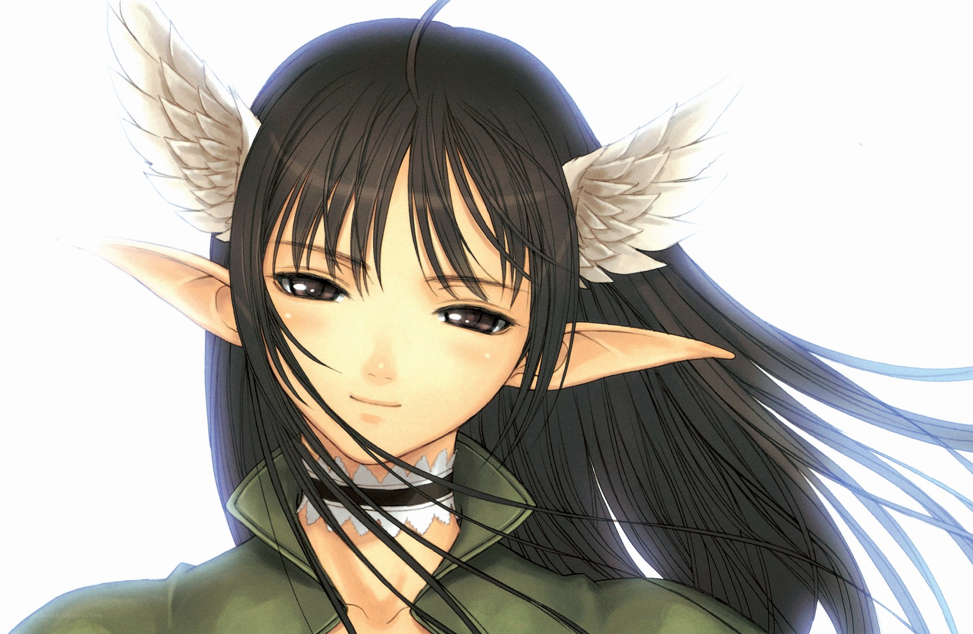 elf character with wings