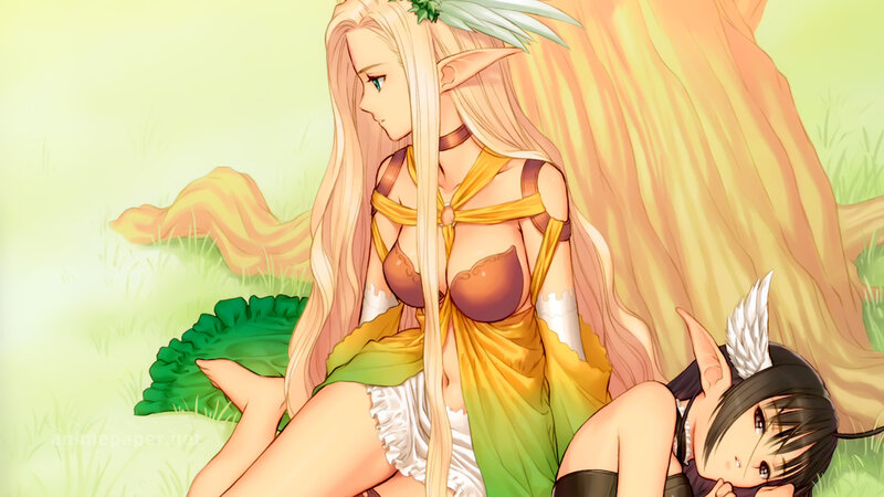 elf companions in a field