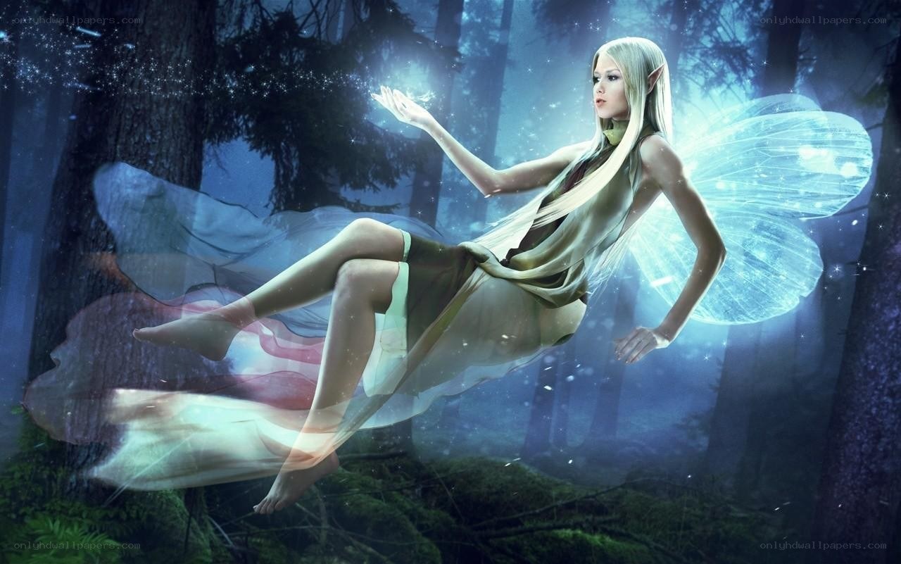 elf fairy in forest