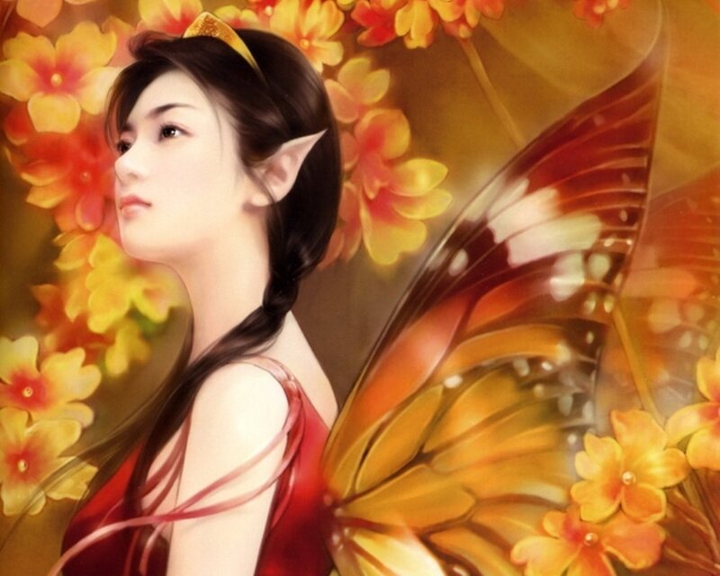 elf fairy with butterfly wings