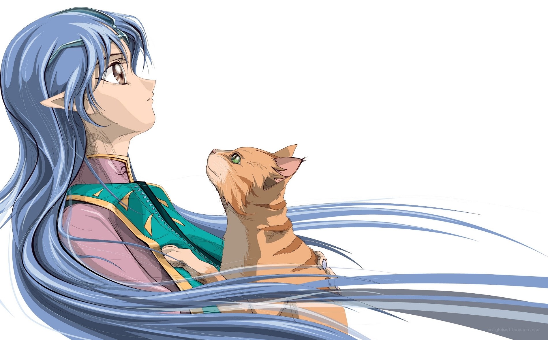 elf girl with cat companion