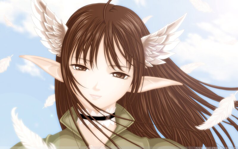 Elf Girl with Wings — Brown