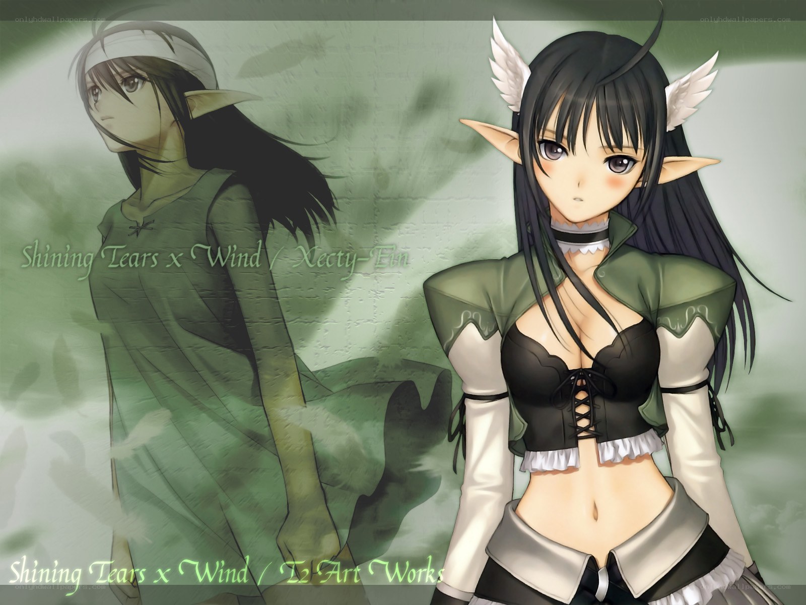 elf girl with wings