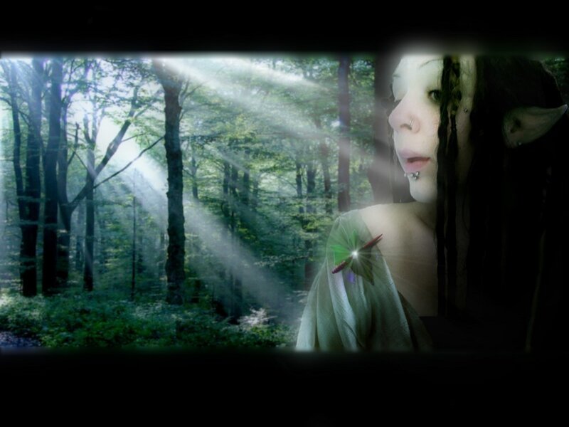elf in a forest